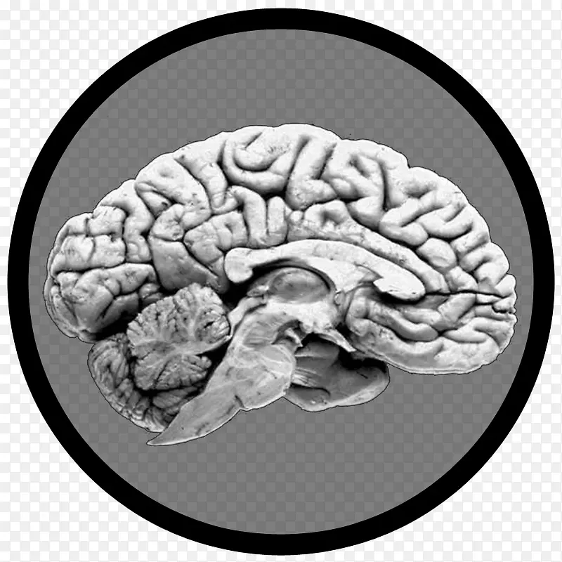 YouTubeֱ������rs-28 Sarmat��Ƶ�鴤-YouTube-������