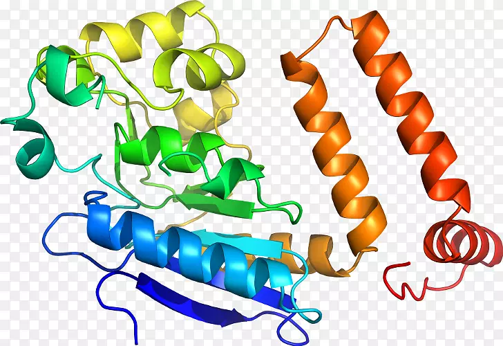 �����鱦�л�������������.�鱦-������