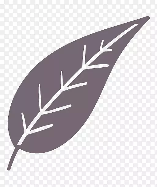 ֱ��Ҷ����-������