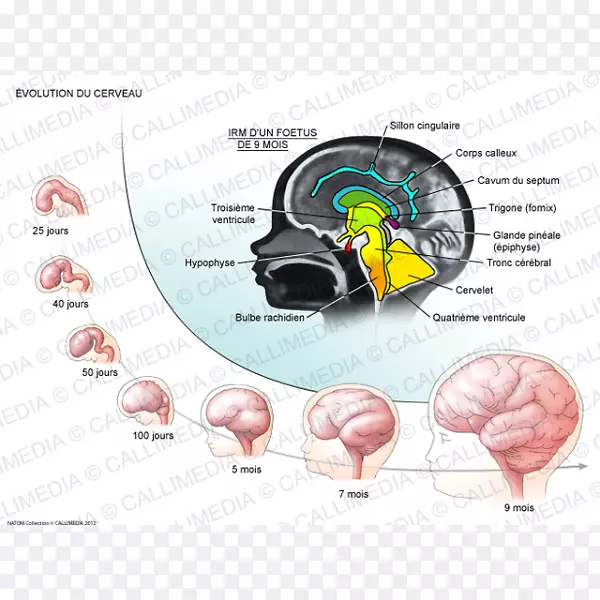 ���������ϵͳ�ķ���-��-������