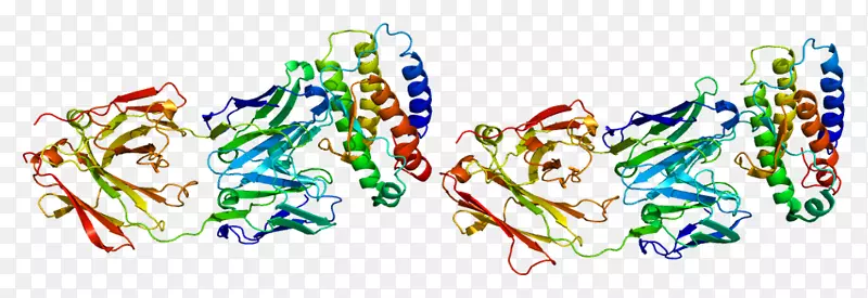 ƽ��������������-������