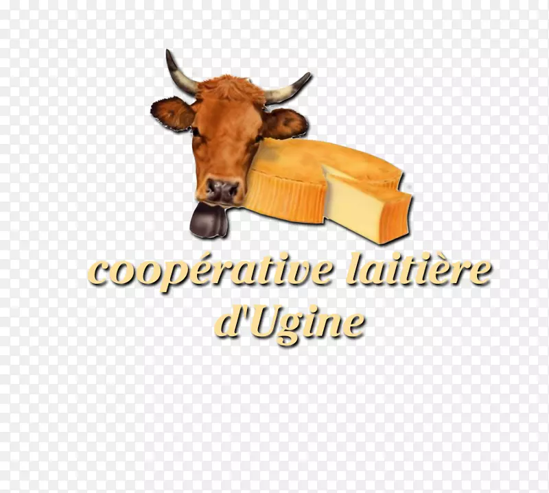 ţ�������ͺ�����-������