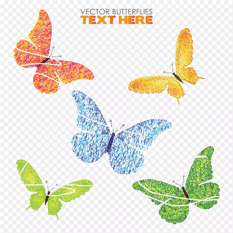 ����������-����-������