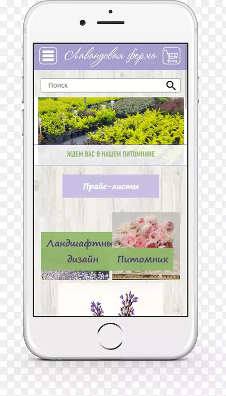 ��ý���ֻ�iphone-޹�²ݳ�-������