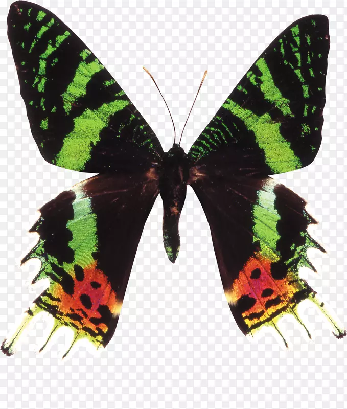 �����̶���Ӱ��������-�ӽ�����-������