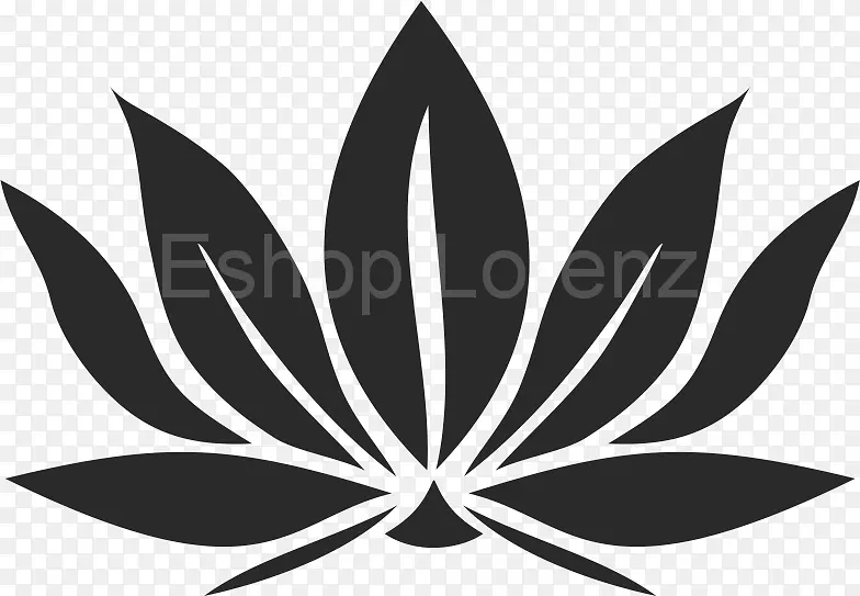 ����Ҷ����ֲ��-������