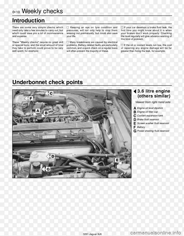 �����������-������