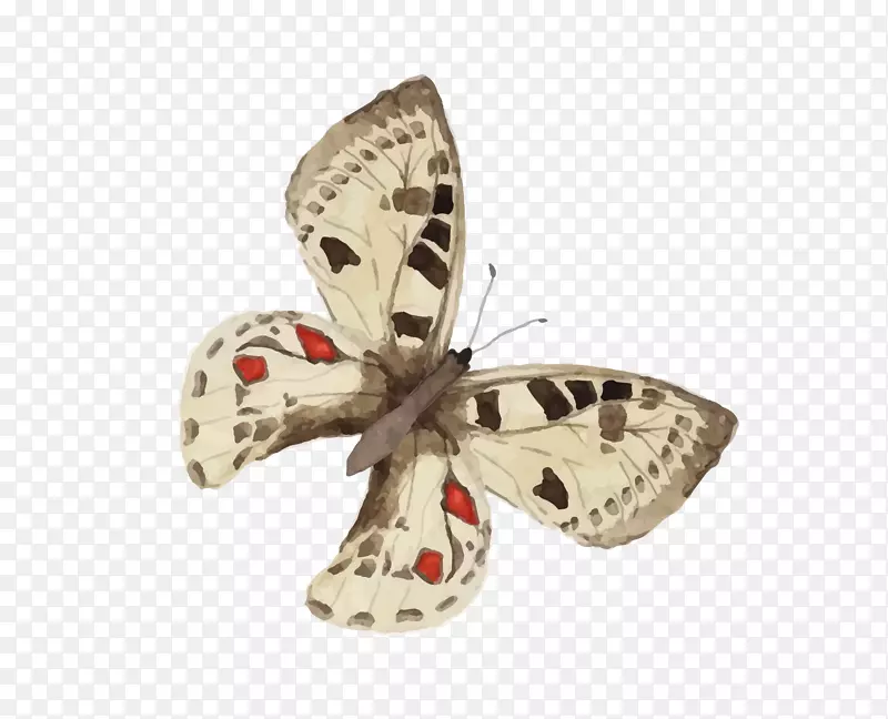 ����ˮ�ʻ�-����-������