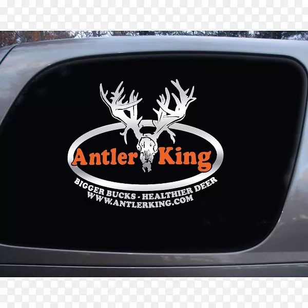 t������������װ.t��-������