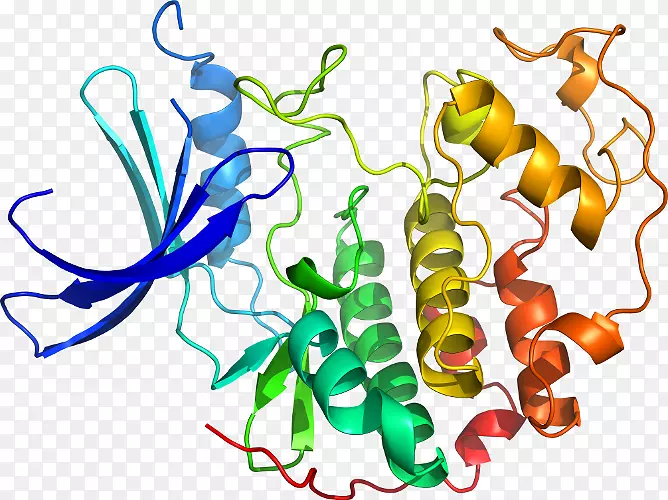 ֲ�ﾥ�߶����������-������