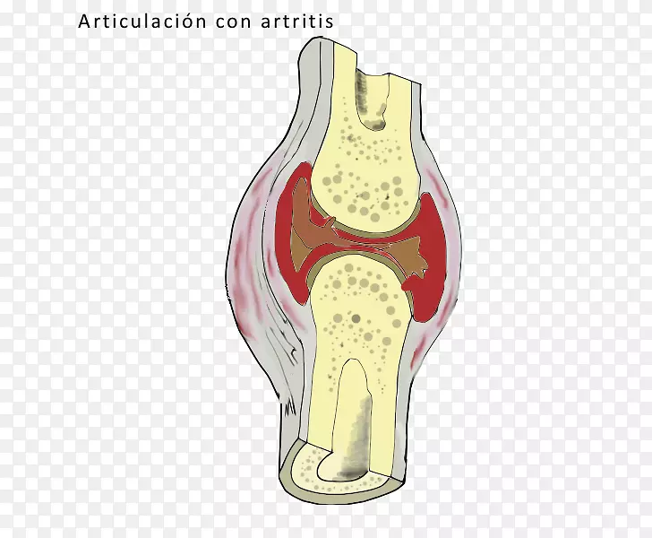 ϥ�������-������