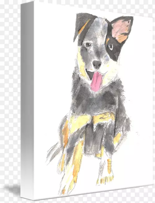 ����ţȮ��ֳ����-������