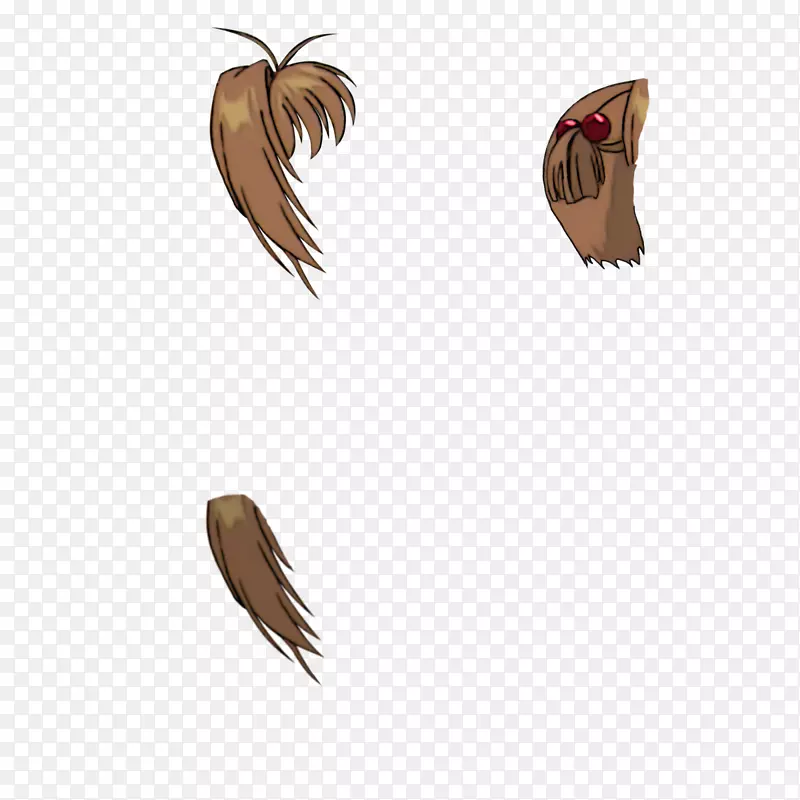 ����������ë���-������