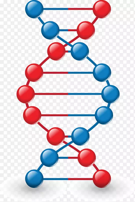 ͼ��-dnaģ��-������