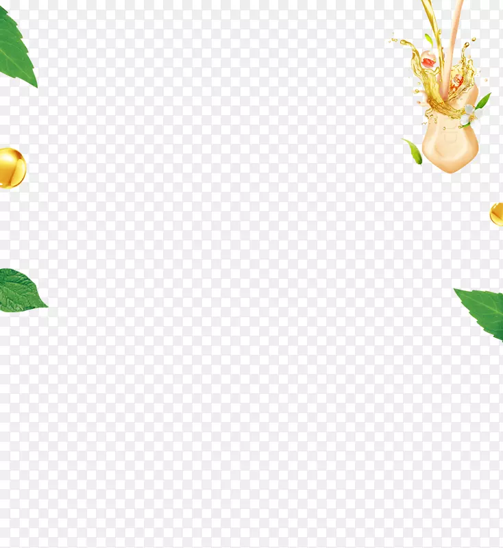 Ҷ����ֲ�ﾥ����ֲ�������Ҷ-������