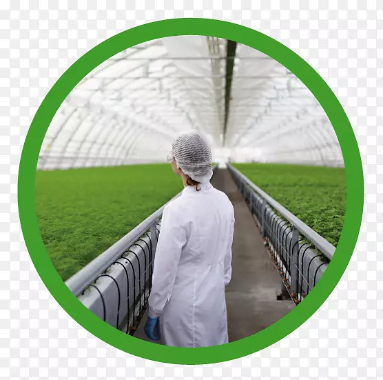 ũҵ��ѧ������Ӱ�о����＼��-������