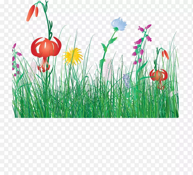 ���ܶ���������-��ͨ�����ʲ�-������