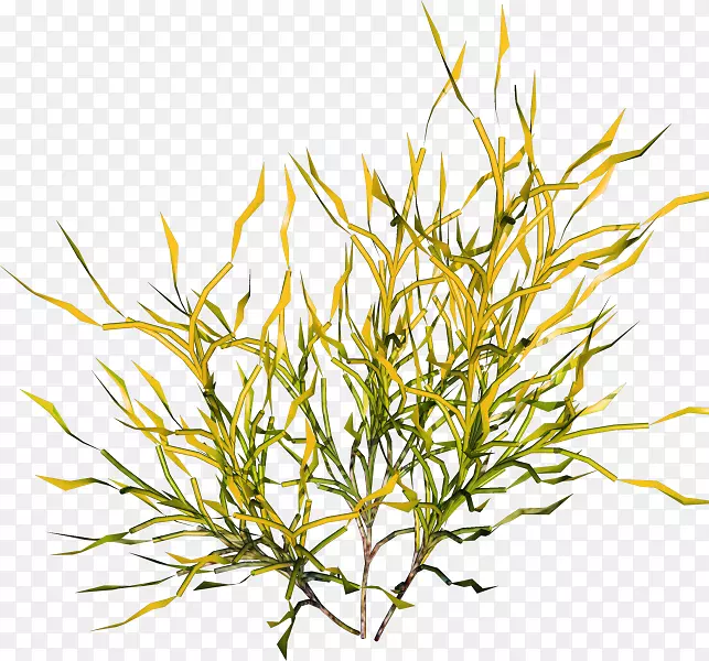 ������-����ɫ�򵥲�װ��ͼ��-������