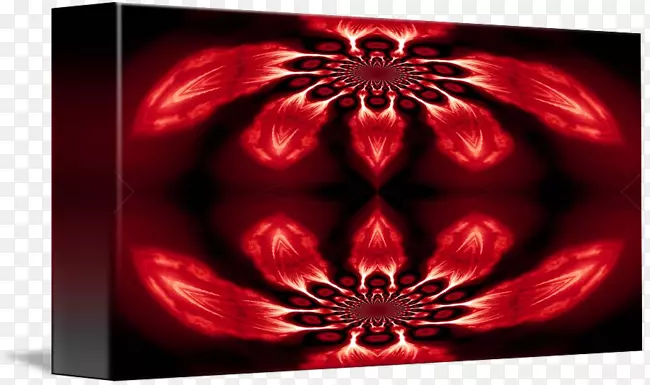 �����ֽ���ԶԳ�-��ë�β���-������