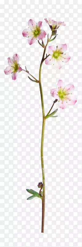 ˮ�ʻ�ˮ�ʻ�-������