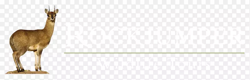 ����¹������ȺҰ����������-������