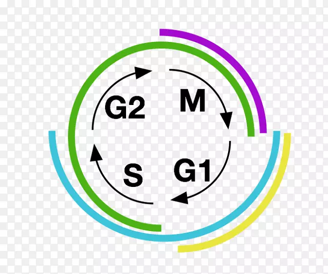 Ц����ɫƷ�ƶ��ż�������-ϸ������-������