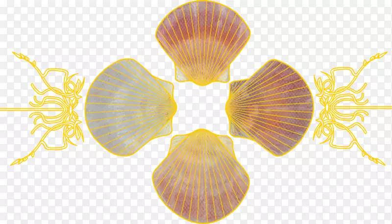 �޼�׵�����������-������