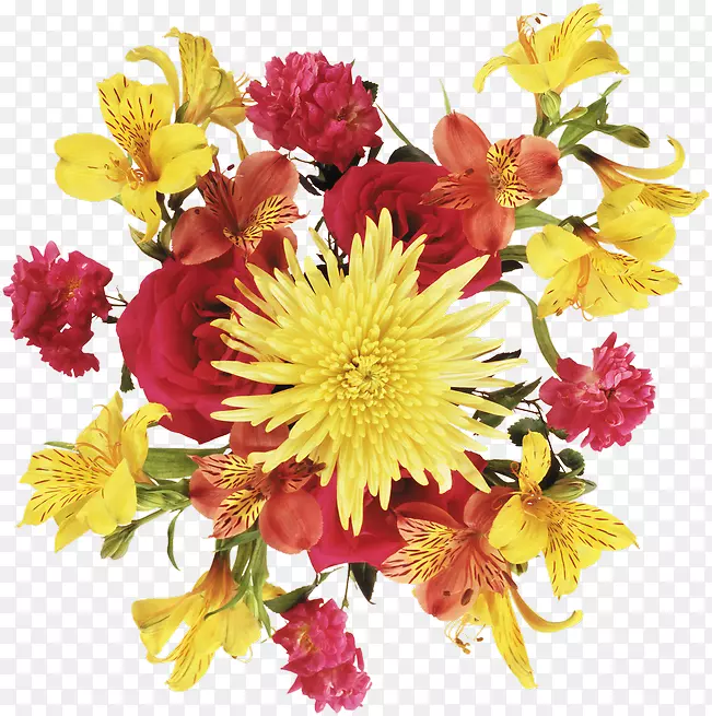 �л��ջ�-������