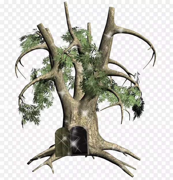 ��֦����-������