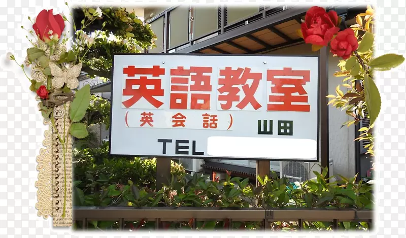 LED��ʾ����豸-������