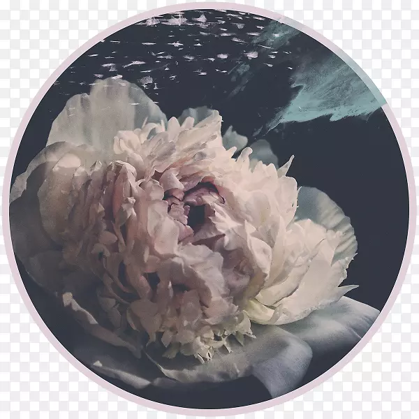 ������Ӱĵ��12��24�ղ;�-�����٪��-������