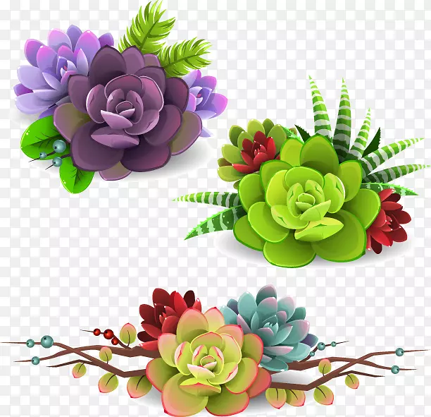 ����ֲ��-ˮ�ʻ�-������