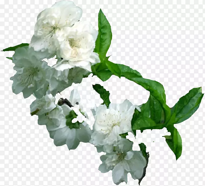 ÷���л�-÷��-������