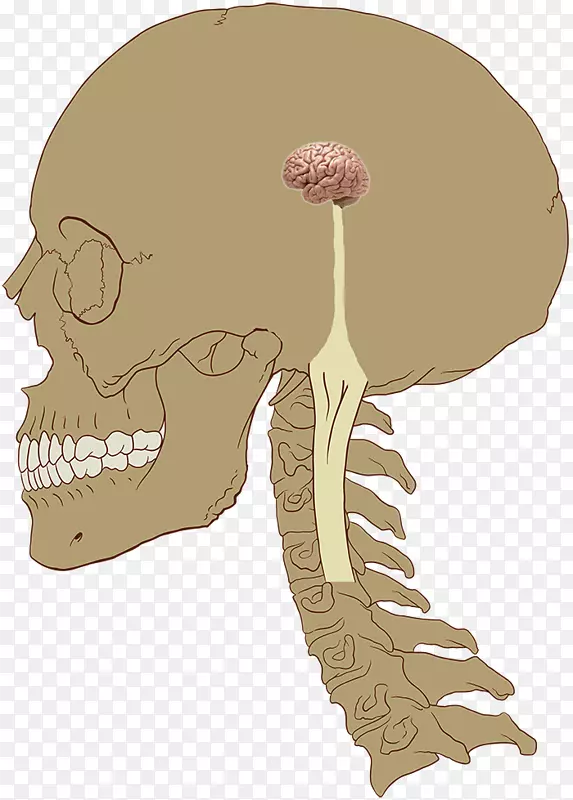 ������ϵͳ����������-������