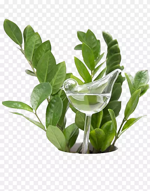 ��ˮ�޲����������ݻ��貣��-������