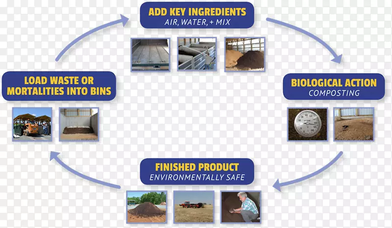 ��������-��׮-������