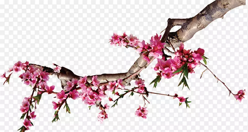 ����������-�-������