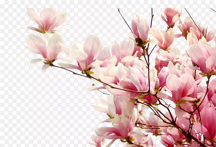 ӣ�����-������