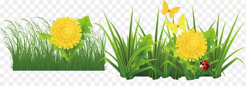 ����-��̳-������