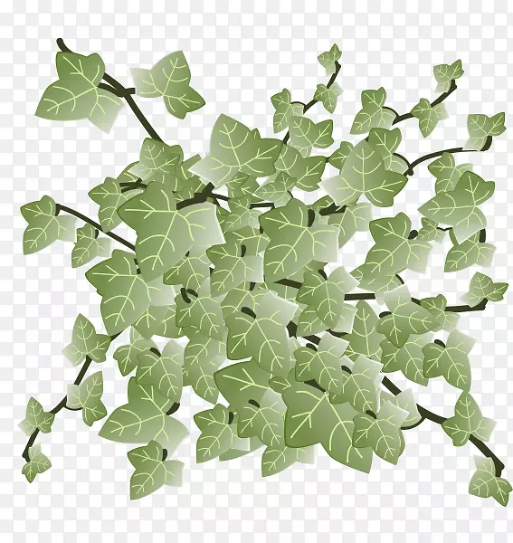 ����Ҷ-������