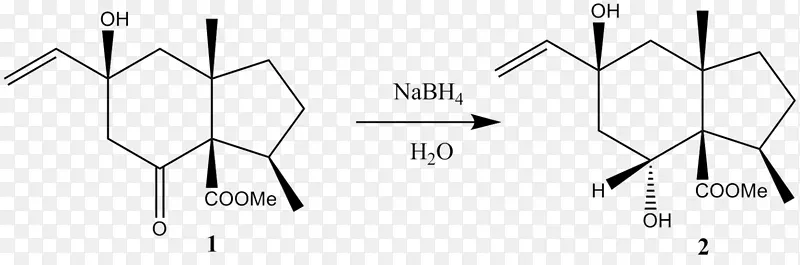 ���ǰ�������-������