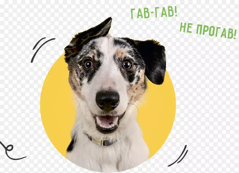 ����������Ȯè��Ȯѵ������è-������