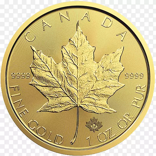 ���ô���Ҷ���-���ô���-������