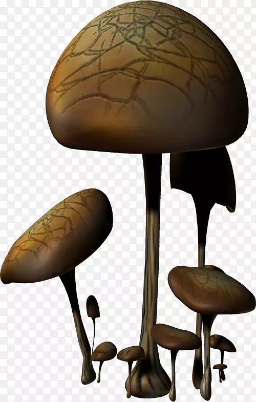 Ģ�������ƴ���������-Ģ��-������