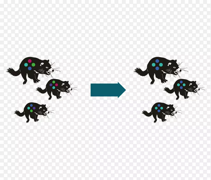 ���洫����-������