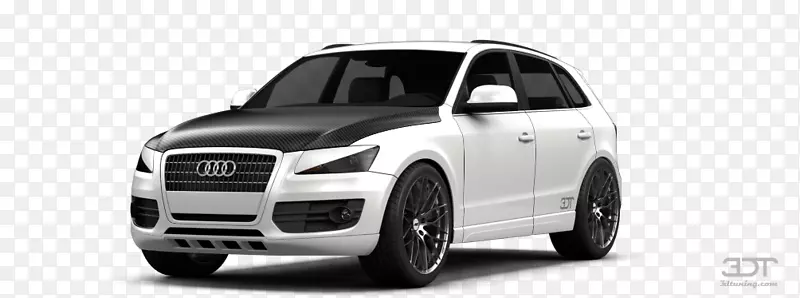 ѩ�����ᳵ�µ�Q5��̥-�µ�Q5-������