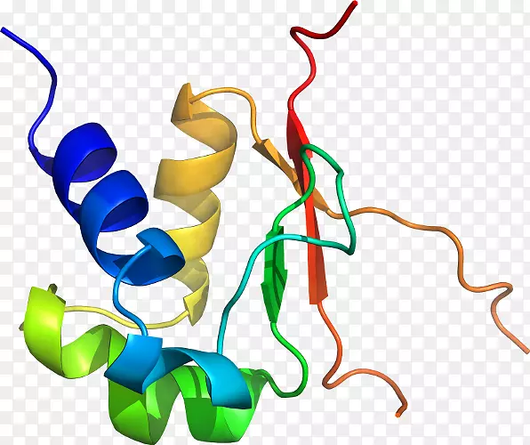 �ߵ������-��-������