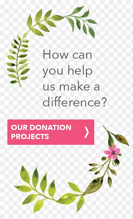 �в�ҩֲ�ﾥҶ����ֲ�������-������