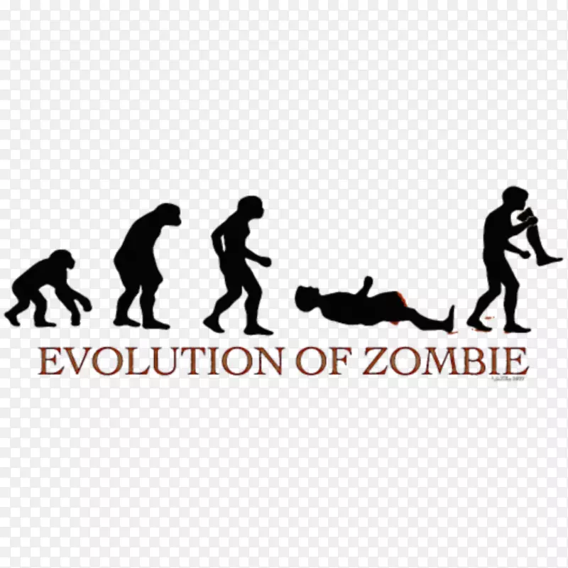 ����t����ñ������-������