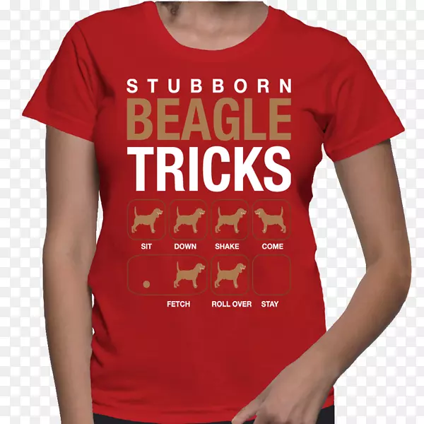 t��ñ����������t��-������